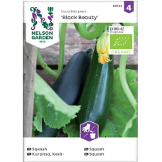 Семена цукини Nelson Garden Seed Pumpkin Summer Black Beauty