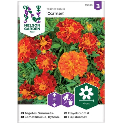 Семена цветов бархатцы Кармен Nelson Garden Seed Velvet Flower 